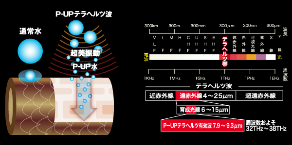 超美振動P-UPテラヘルツ波のイメージ図